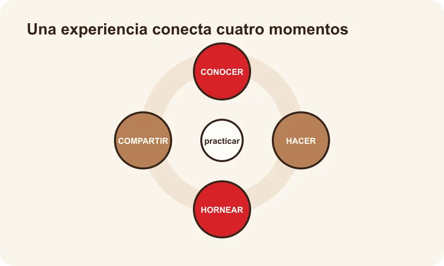 Diagrama circular de cuatro momentos de una experiencia de taller: conocer, hacer, hornear y compartir.